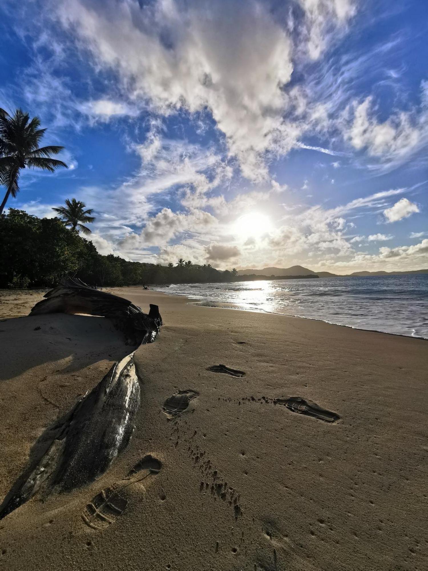 Ti'Bakoua A Sainte-Luce Plage Et Piscine Buitenkant foto