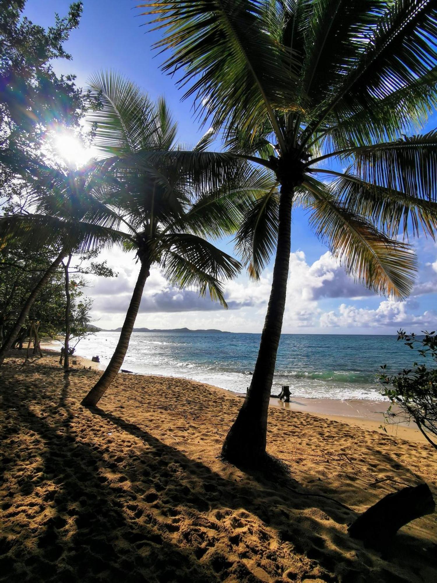 Ti'Bakoua A Sainte-Luce Plage Et Piscine Buitenkant foto